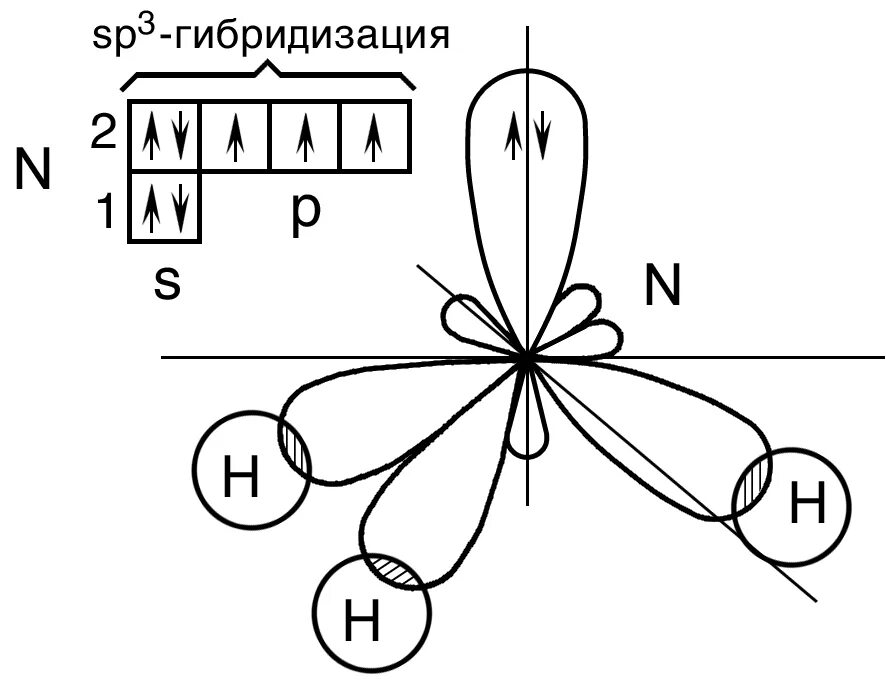 H2o 3 связь. Строение молекулы воды методом валентных связей. Nh3 гибридизация орбиталей. Молекул воды метод валентных связей. Тип гибридизации в молекуле nh3.