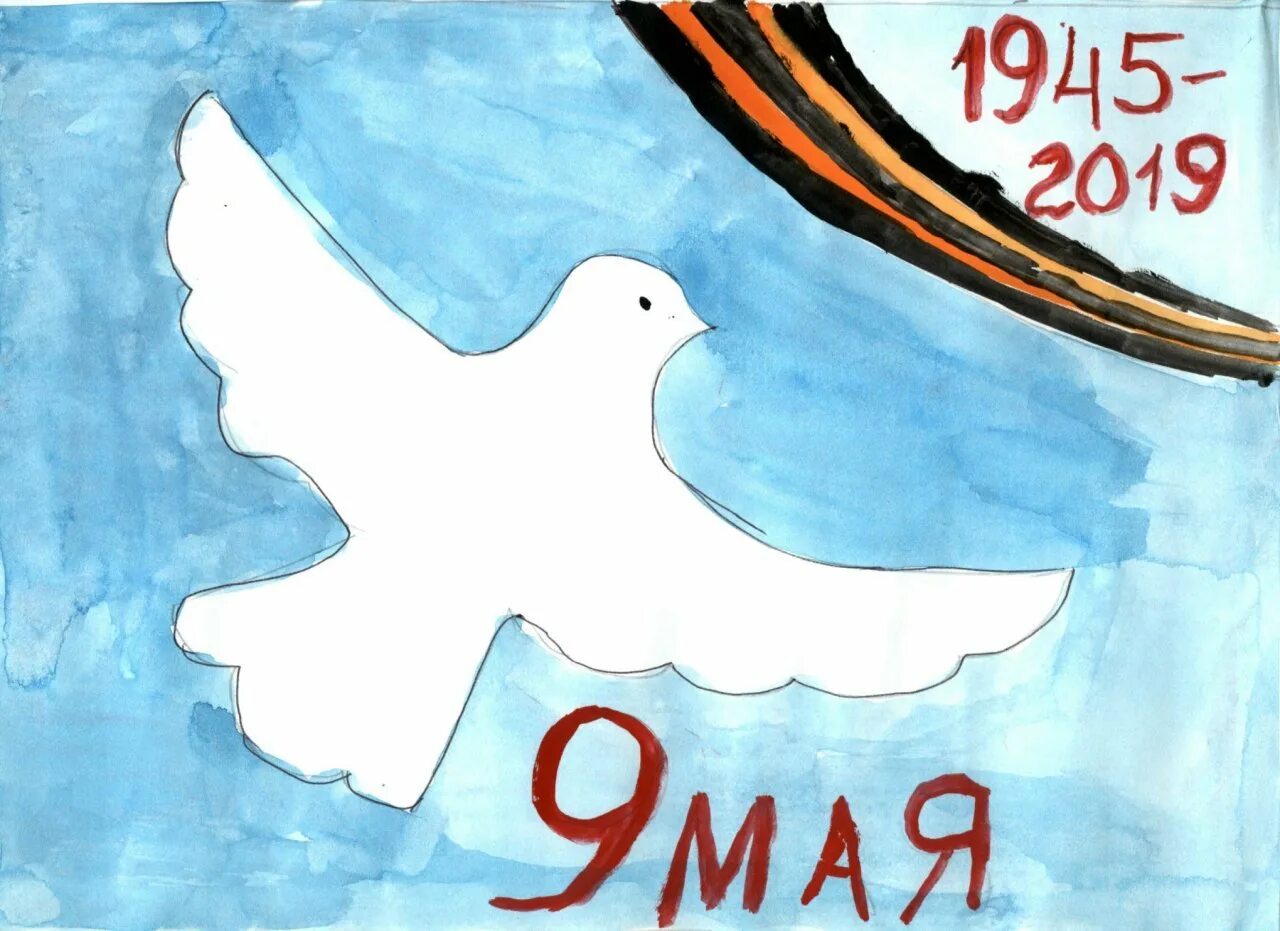 Рисунок ко Дню Победы с голубем. Рисунок голубя на 9 мая