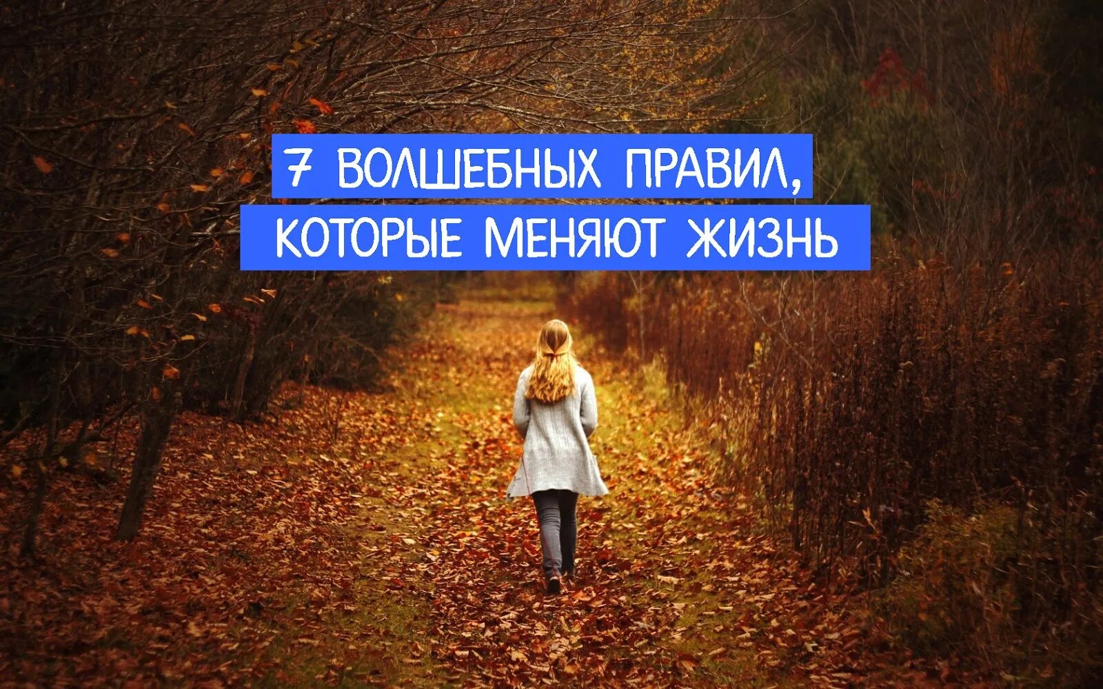 5 жизненных правил