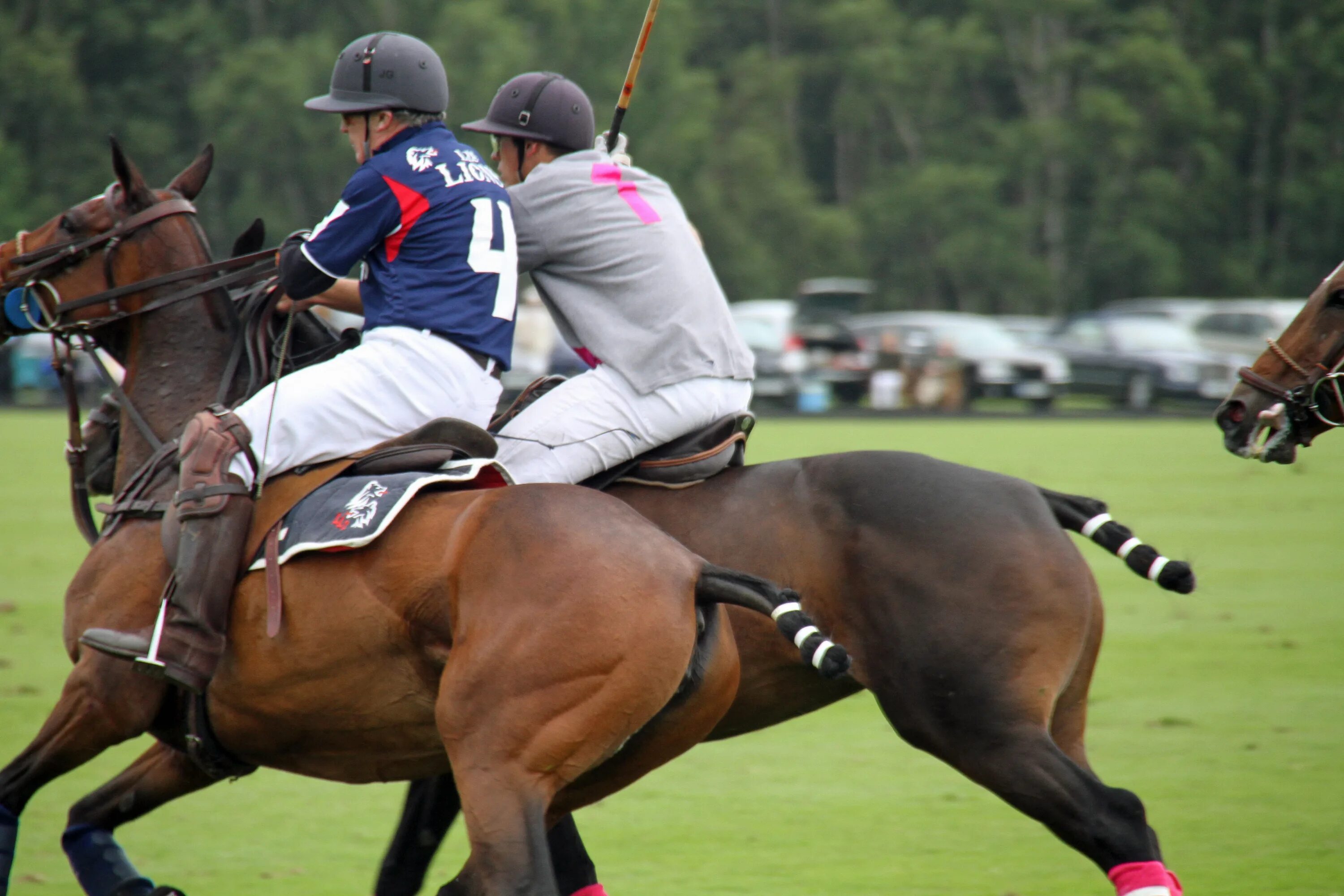 Polo Sport поло. Поло для конного спорта. Поло для соревнований конный спорт. Вольфоцгаен поло спорт. Кони вид спорта