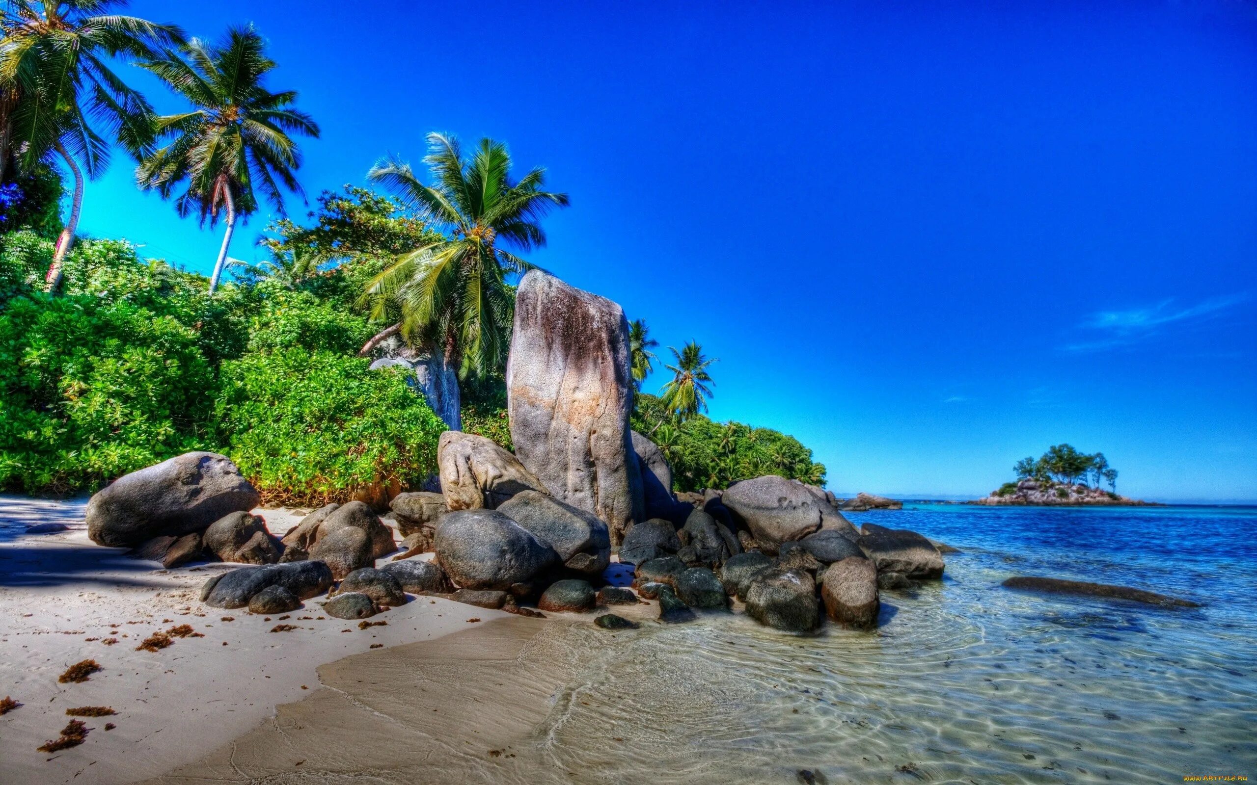 Anse Royale Сейшелы. Парадиз остров Карибского моря. Тропики Сейшелы. Природа море.