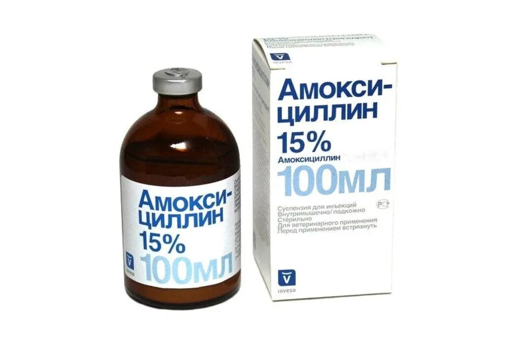 Амоксициллин можно давать кошкам. Амоксициллин 15% 10 мл invesa. амоксициллин 15% 100мл инвеса. амоксициллин вет 100 мл. амоксициллин 15 ветеринарный.
