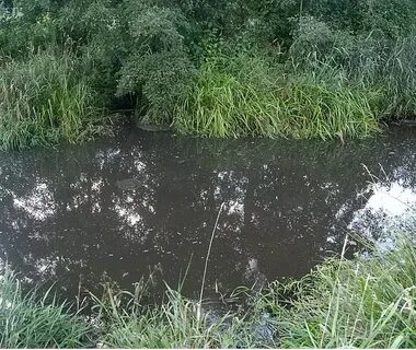 Река дело
