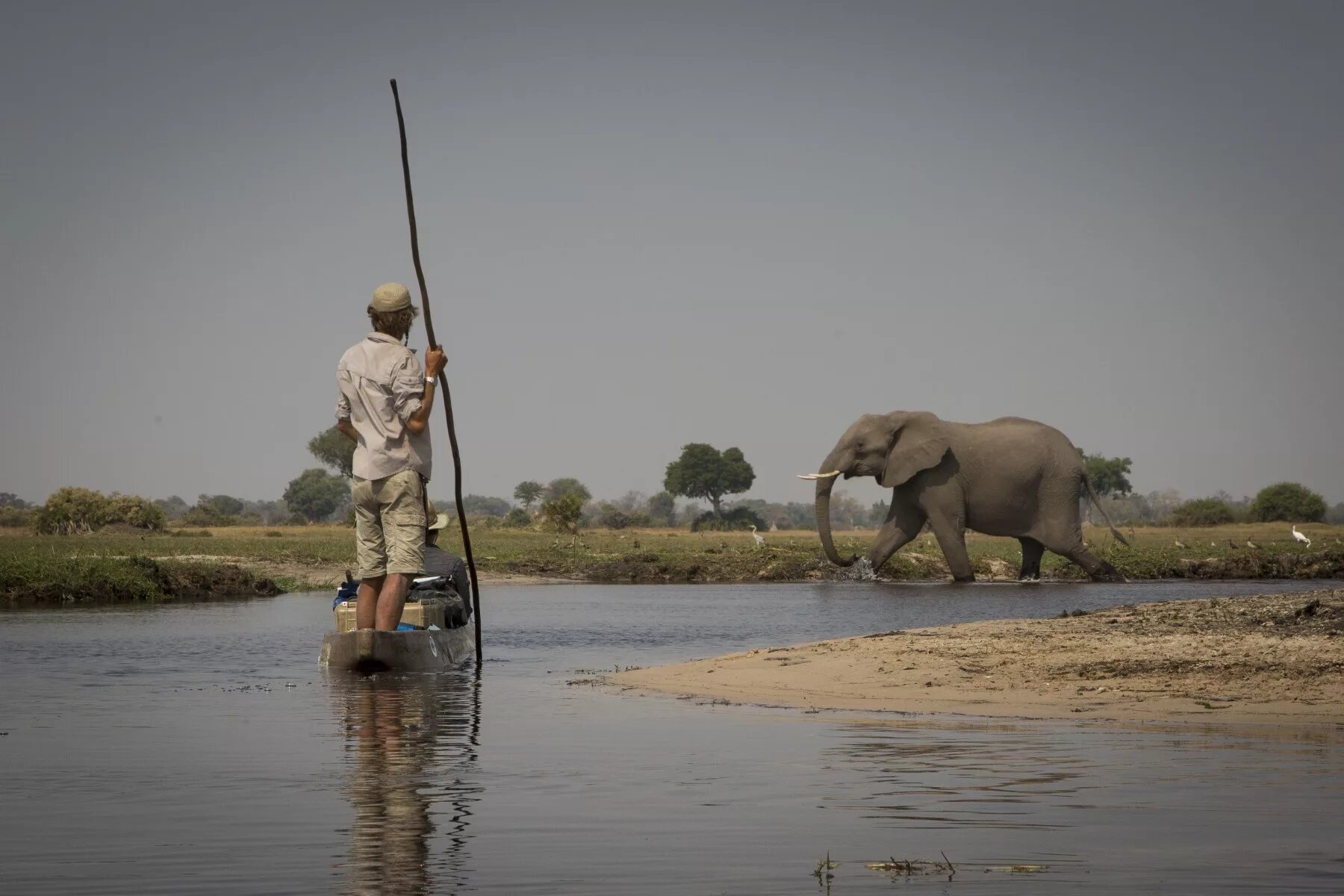 Okavango полный привод. Окаванго Намибия. Жители реки Окаванго. Джимми Окаванго. Окаванго звери.