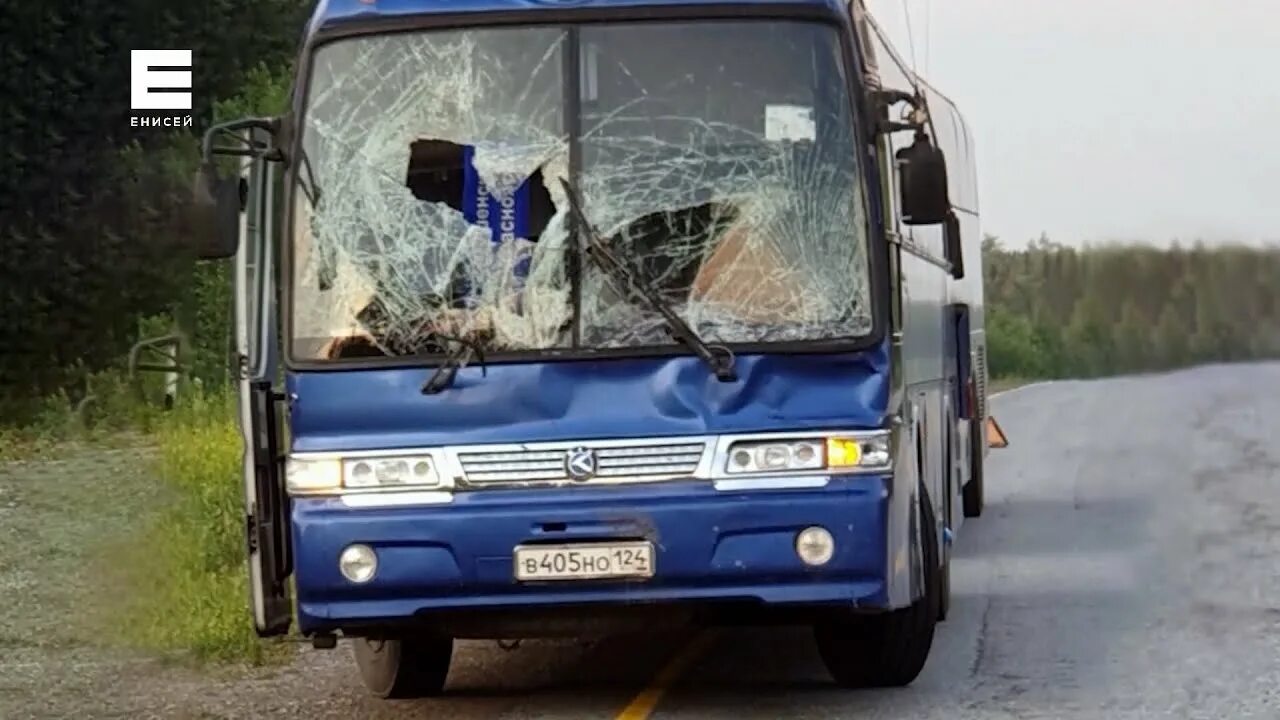 195 км в автобусе. Автобус шушенское ильичево. Автобус шушенское ильичево. Автовокзал саяногорск расписание. Автобус шушенское ильичево.