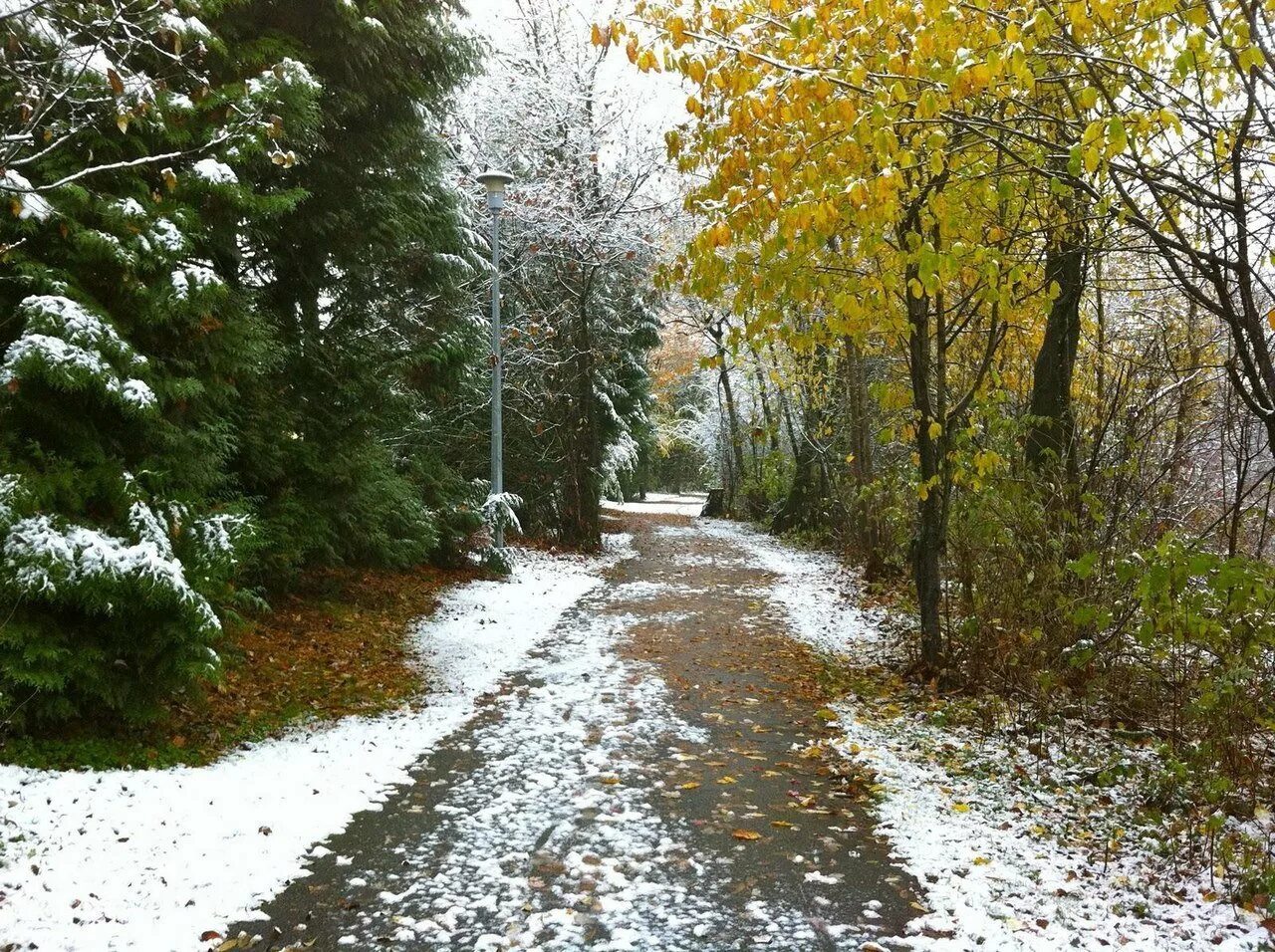 Снег в сентябре какая. Ноябрь природа. Первый снег. Ноябрь первый снег. Поздняя осень.