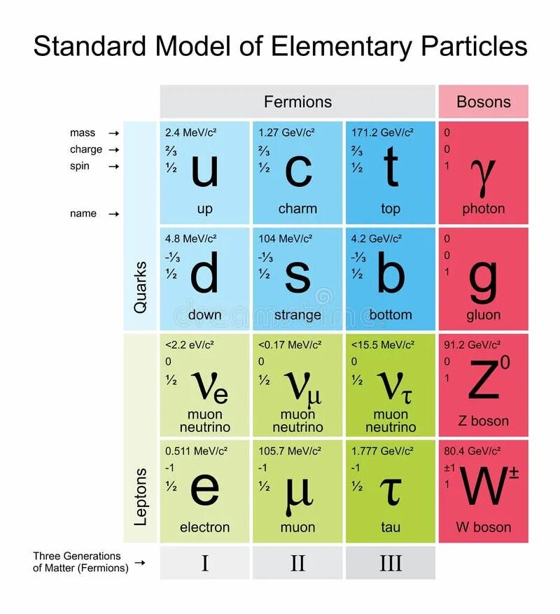 Elementary мод. Стандартная модель элементарных частиц. Стандартная модель элементарных частиц плакат. Standard model of Elementary Particles. Elementary Particles.