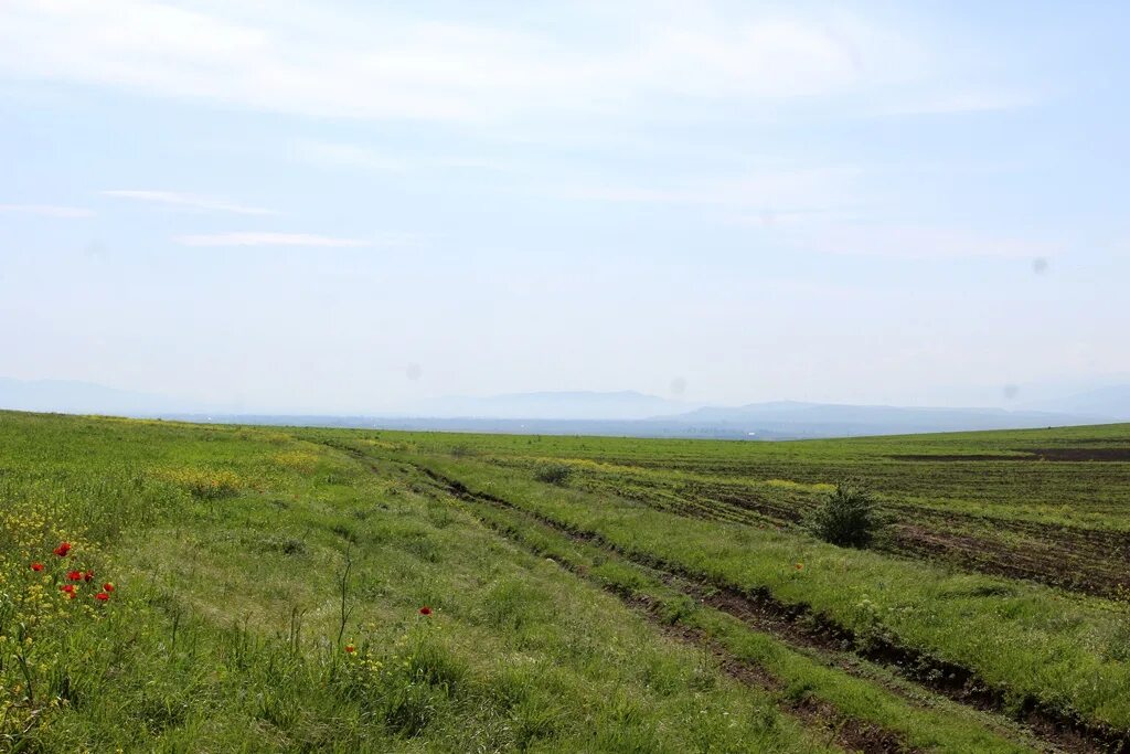 Погода село южное. Орловка Ставропольский край Кировский район. Село Орловка Ставропольский край. Ионча село. Село Ионча Южная Осетия.