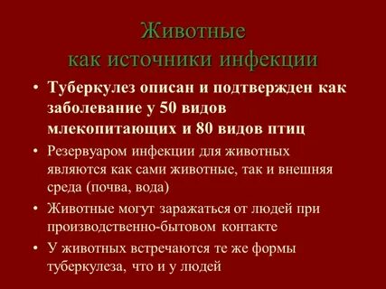 Животные источники заболеваний