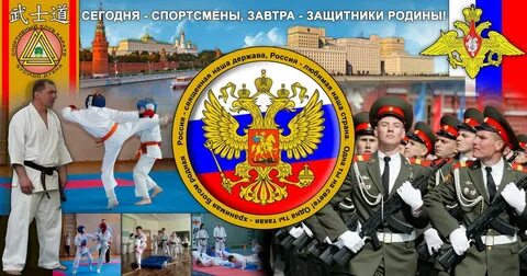 Защитники родины индийский