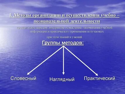 Наглядные методы организации учебно познавательной деятельности