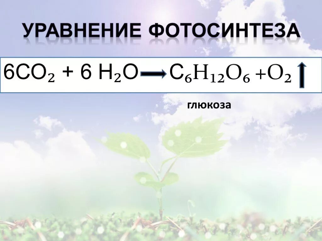 Co2 h2o фотосинтез. Уравнение фотосинтеза. Реакция фотосинтеза уравнение. Формула фотосинтеза. Формула фотосинтеза у растений.