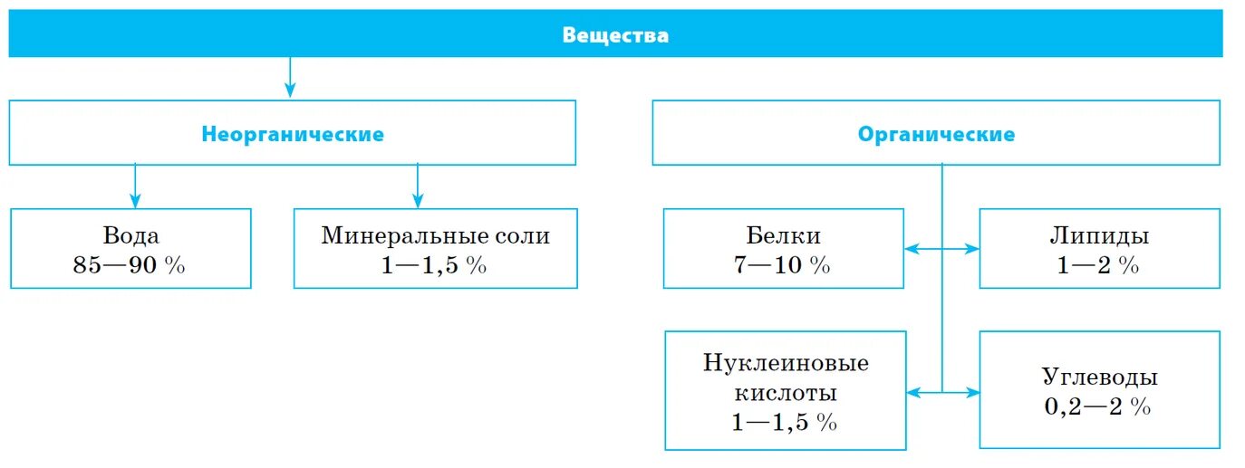 11 класс химия неорганические и органические кислоты. Органические вещества и неорганические вещества таблица. Неорганические вещества клетки и их функции кратко. Органические вещества и неорганические вещества таблица химия. Органические и неорганические вещества клетки таблица.