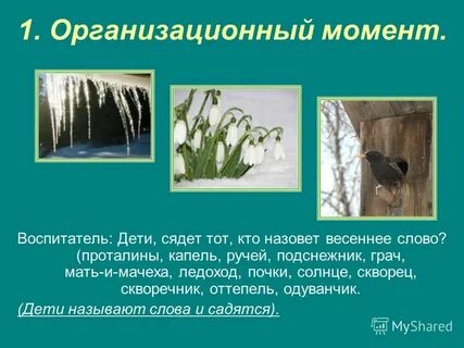 Весной поет жаворонок и подснежник пробуравливает землю