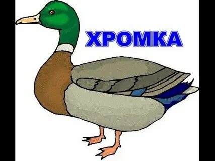 Пришвин хромка