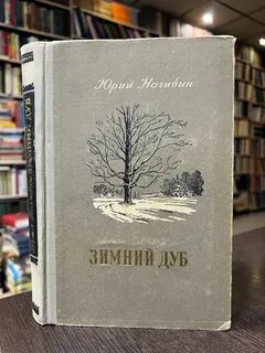 Нагибин зимний дуб кратко