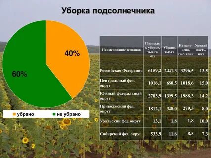 Подсолнечник урожайность с 1