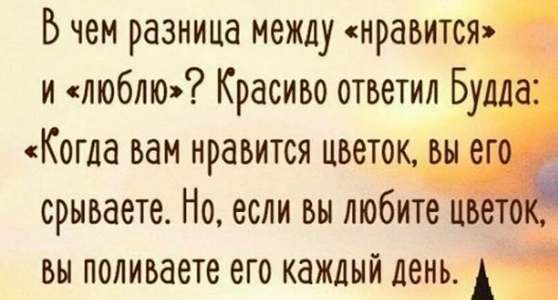 Отличие между Нравится и люблю. В чëм разница между Нравится и люблю. Стихи между люблю и Нравится. Нравится и любить в чем разница.