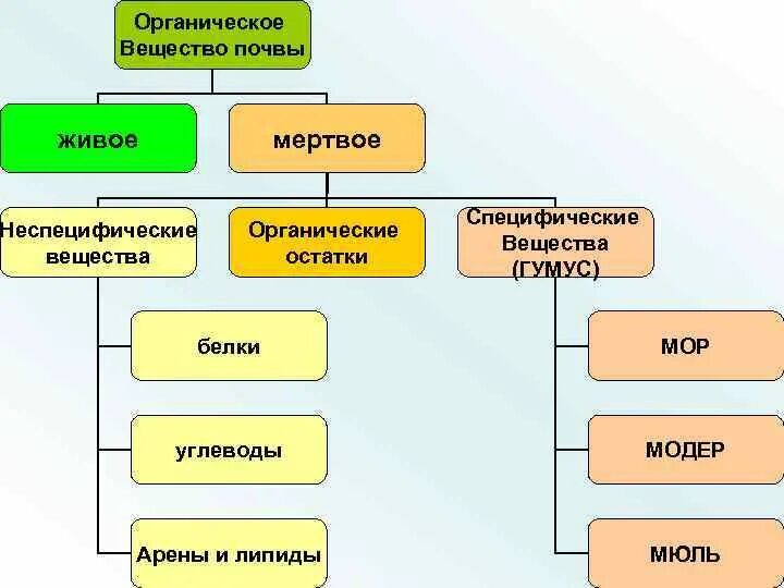 Назовите органические вещества почвы. Органическое вещество почвы. Классификация органических веществ почвы. Специфические органические соединения. Неспецифические органические вещества почвы.