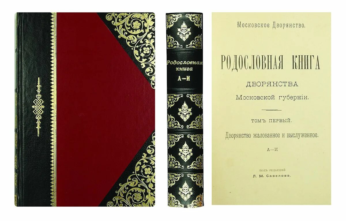 Родословная книга Нижегородской губернии. Родословная книга Дворянская. Дворянство книга. Родословные книги дворян. Учебник для русского дворянства