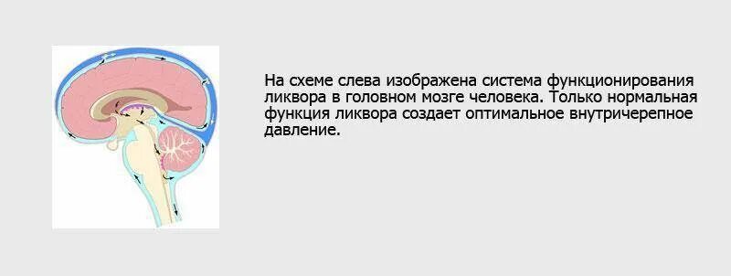 Как снизить черепное давление. Ход ликвора в головном мозге схема. внутричерепное давление у ребенка 1 год симптомы. внутричерепное давление у ребенка 3 года показатели. вчд у ребенка 1 год симптомы.