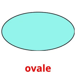 Long oval