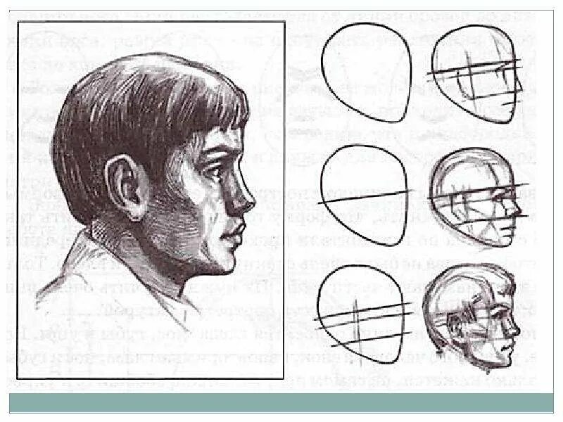 Уроки классического рисунка. Начав профиль. Финишная планка grand line. J-профиль docke lux (3,0м). Нос мужской рисунок.