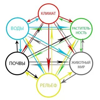 Примеры природных компонентов
