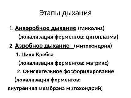 Фаза вдоха