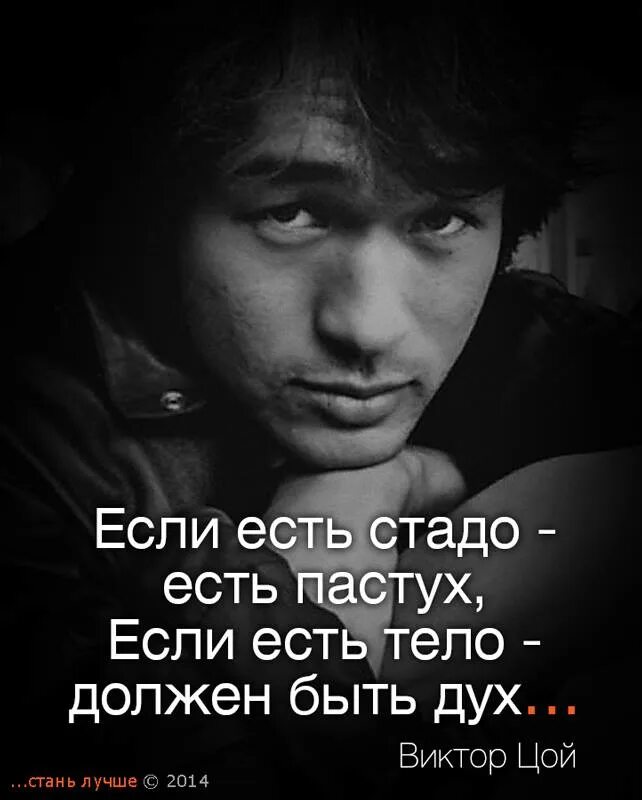 Именно бывший. Виктор Цой цитаты. Фразы Виктора Цоя. Цитаты Цоя. Виктор Цой высказывания.