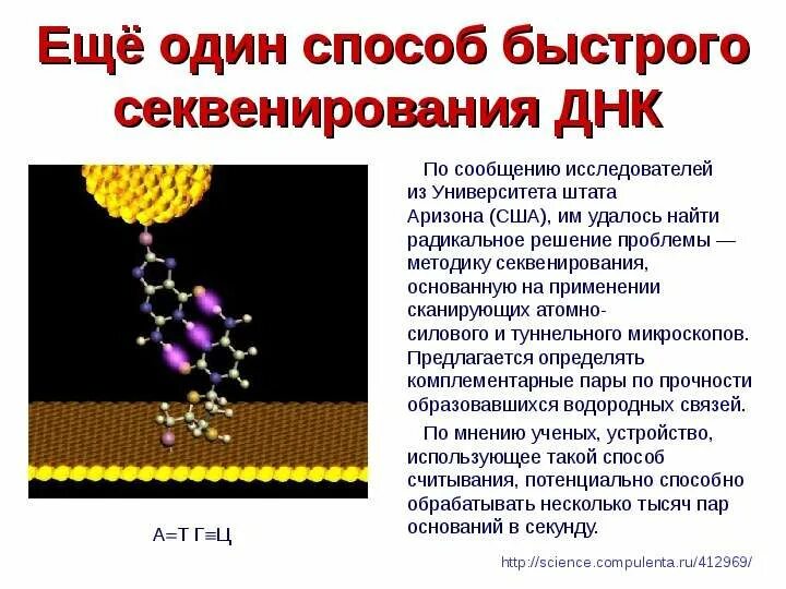 Секвенирование егэ. Секвенирование днк. секвенирование вируса. секвенирование метод в биологии. секвенирование днк презентация.