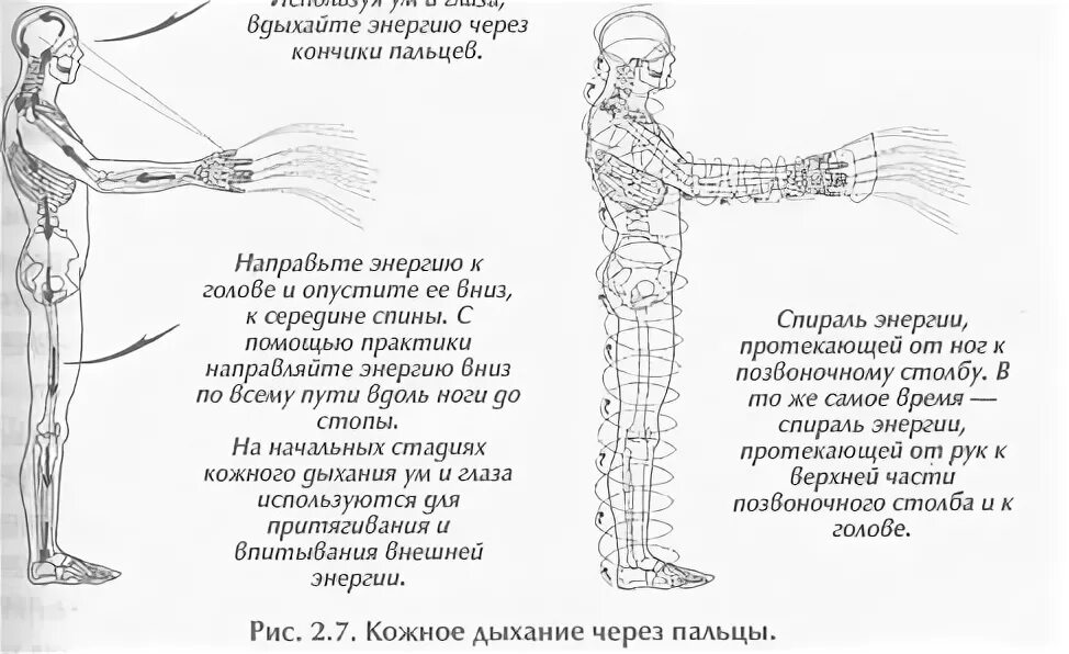 Прямой и обратный даосский круг энергии. Даосские энергетические практики. Поток через пальцы энергия. Энергия Ци упражнения. Потоки через тело