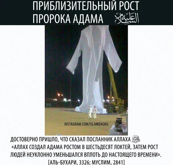 Как выглядит адамов человек