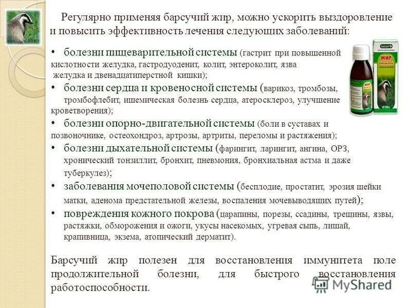 Можно ли пить при пневмонии. Барсучий жир при заболевании легких. барсучий жир при туберкулезе. барсучий жир применяется. барсучий жир для питья.