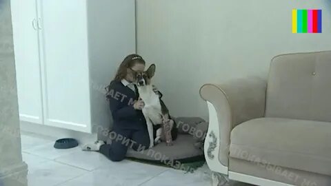 Она собака она бухая песня
