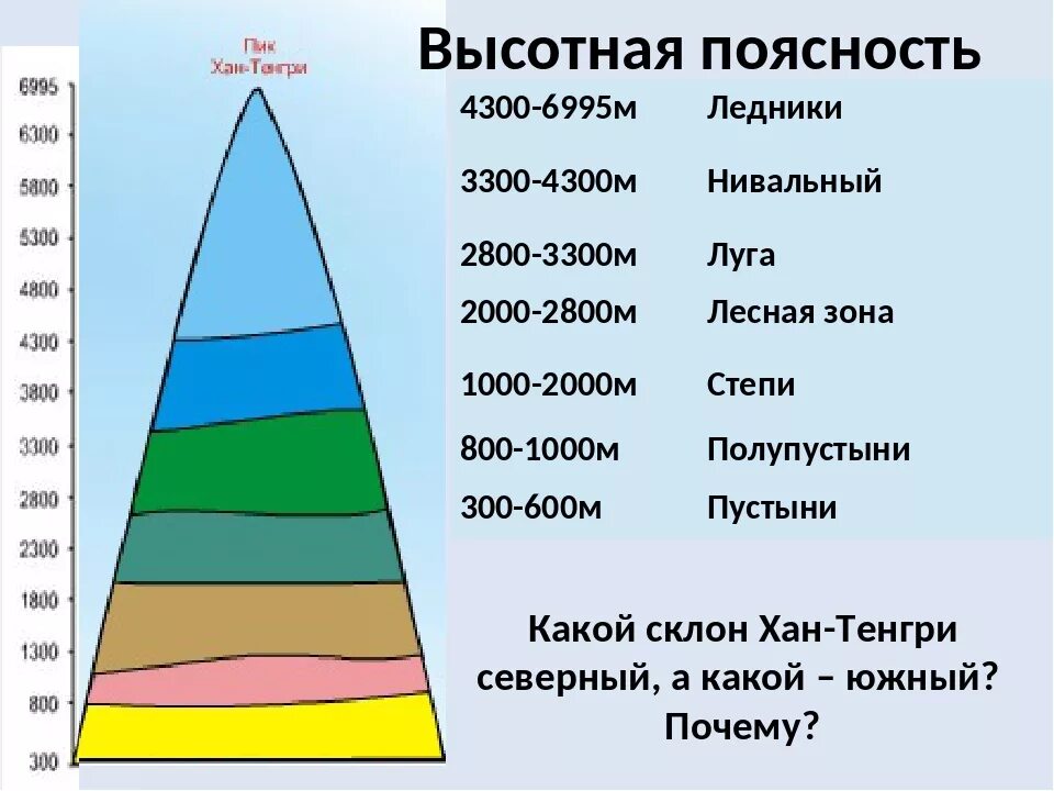 Климат и природные зоны урала. Высотная поясность Тянь Шаня. Высотная поясность Хан Тенгри. Восточный Саян Высотная поясность. Высотная поясность гор Алтая.