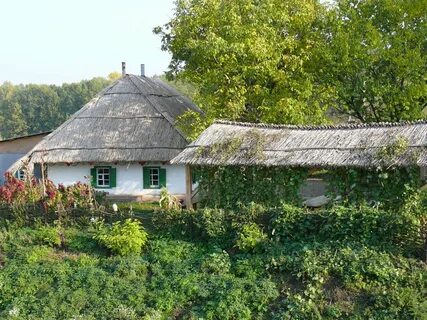 Дома в селе черкасская область