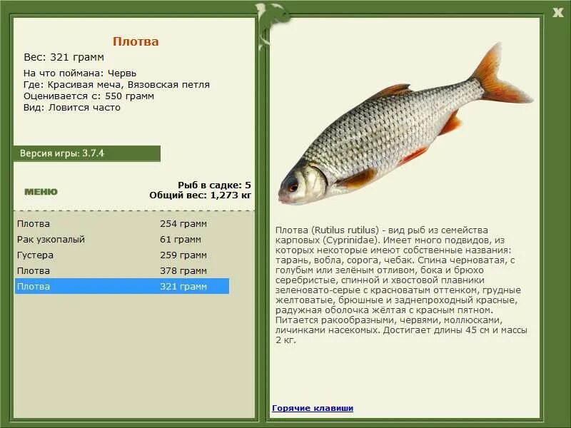 скумбрия (без головы). рыбы грамм. ложнохромис королевский pseudochromis paccagnellae. королевская грамма рыбка. ложнохромис королевский pseudochromis paccagnellae.