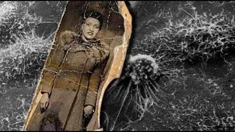 Бессмертная жизнь генриетты
