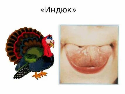 Говорящий индюк