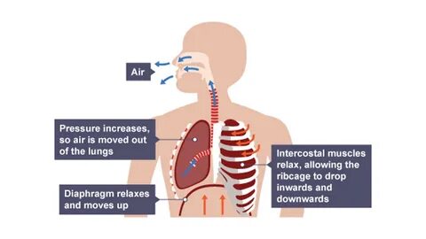 Increase pressure