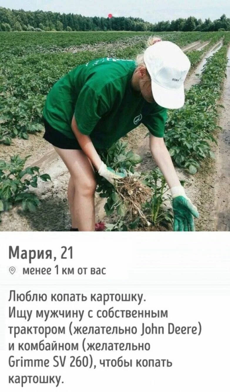 люблю копать картошку. копка картофеля. люблю копать картошку. люблю копать картошку. люблю копать картошку.