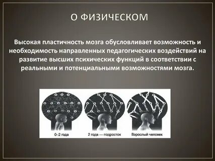 Обусловленный мозг