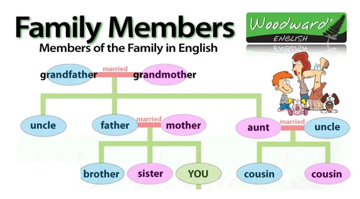 A member of the family. Семья на английском 6 класс. Family members 6 класс 1. Family members in chinese. Family members 1a 6 класс.