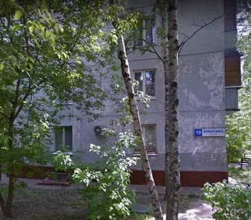 Сад ул пожарского 28