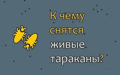 К чему снятся живые волосы