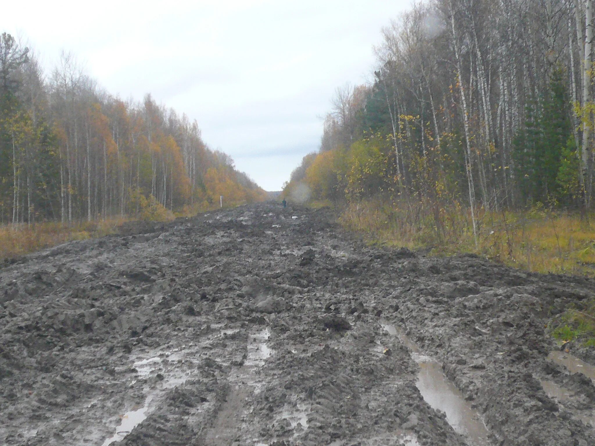 Дорога кедровый томск. Дорога парбиг кедровый. Погода в парбиге рп5. Поселок кедровый дорога. Дорога парбиг кедровый.