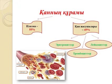 Мен қызметі