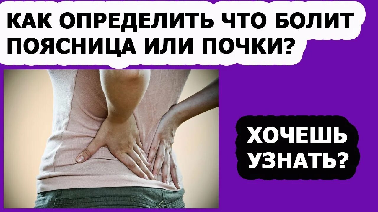 Почки или поясница как понять. Что болит почка или поясница. болит спина. боль в почках или пояснице.