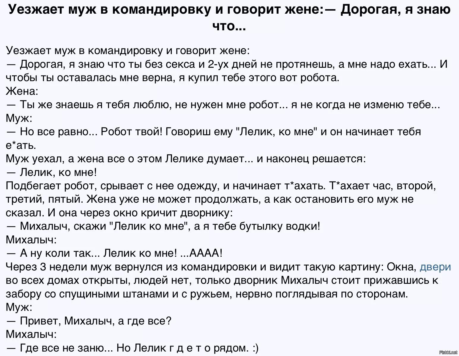 Муж уезжает на 2 месяца. Шутка про Лелика. Анекдот про командировку и робота. Муж уехал в командировку. Анекдот про мужа в командировке и робота.